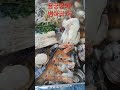 #니가왜거기서나와 #영탁 #용궁탕 #용궁탕에왜병아리가? #안면도맛집 #맛집탐방 #철판용궁탕