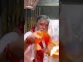 #shots #masarswati #live #bhawani #devimaa #sharda #mataji #maihardham