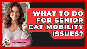 What To Do For Senior Cat Mobility Issues? - Happy Cat Handbook