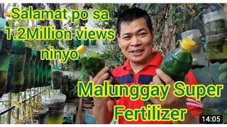 Malunggay Super Fertilizer Sa Lahat Ng Uri Ng Halaman With Eng Subs