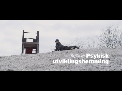 Video: Hvordan kan jeg få et miljøjob uden en uddannelse?