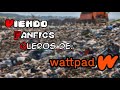 Leyendo Fancfics Qleros Wattpad - Episodio 3 (Parodia - Loquendo)