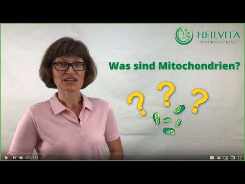 Video: Was Sind Mitochondrien?