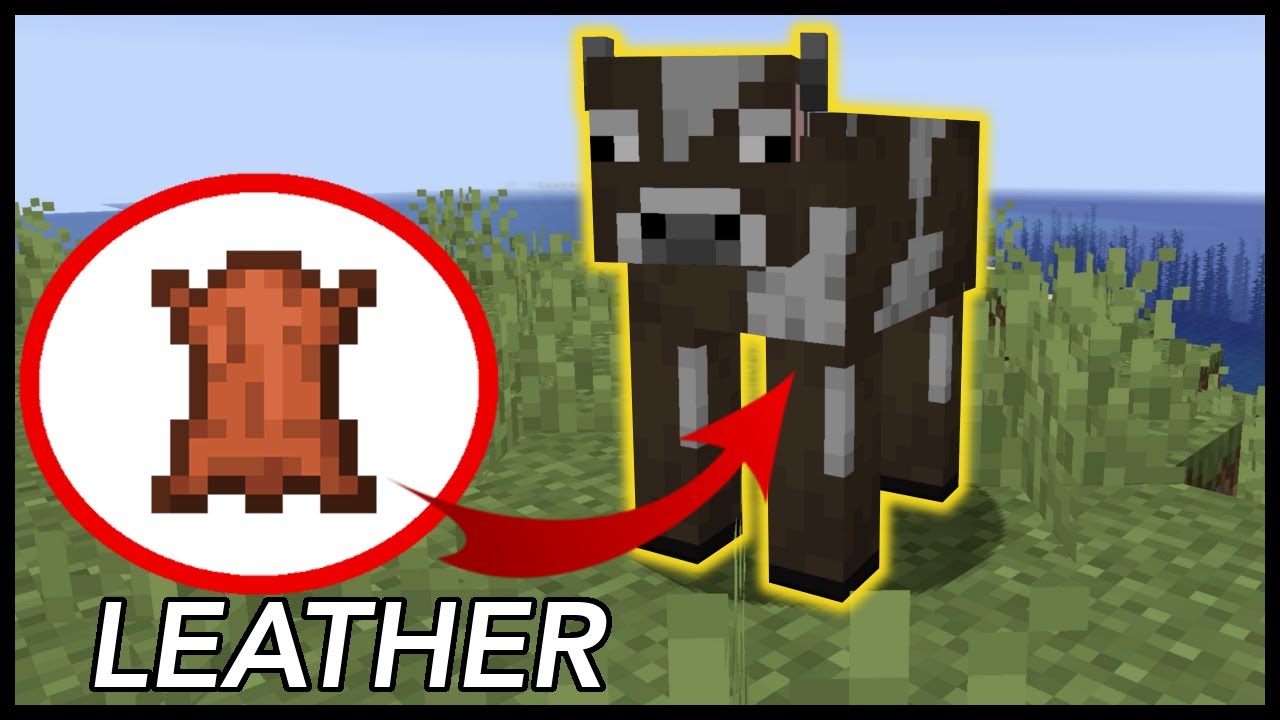How To Get Leather In Minecraft - YouTube