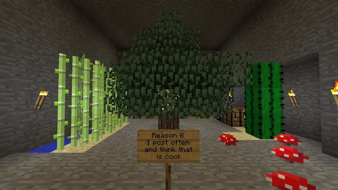 Top 10 Reasons to Subscribe to My Channel