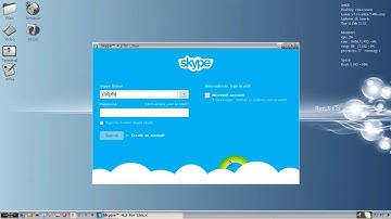 AntiX 13 Stable - Install Skype
