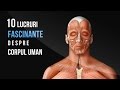 10 LUCRURI pe care nu le STIAI despre CORPUL UMAN