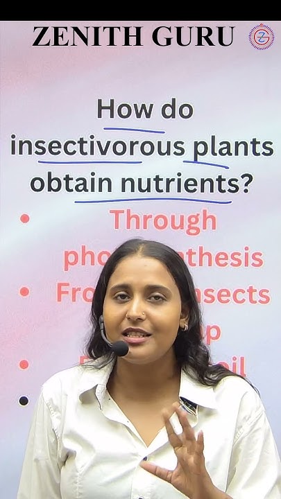 how-do-insectivorous-plants-obtain-nutrients-rapid-science-063