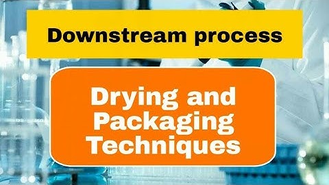 Drying and packaging - Downstream process
