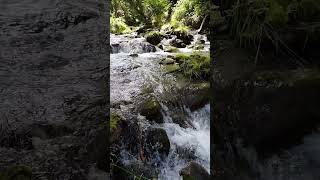 Jaw-Dropping Beauty: Exploring an Amazing Clear River | Nature's Masterpiece
