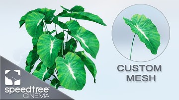 Custom Leaf Mesh P1 | Speedtree Cinema 9