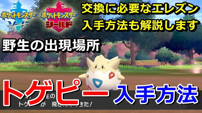 ポケモン剣盾 トゲピー 野生の出現場所 入手方法 2種類 交換に必要な エレズン の入手方法も解説 ソード シールド ニャン速ちゃんねる Youtube