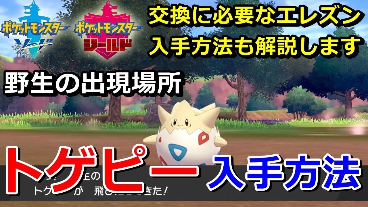 ポケモン剣盾 トゲピー 野生の出現場所 入手方法 2種類 交換に必要な エレズン の入手方法も解説 ソード シールド ニャン速ちゃんねる Youtube