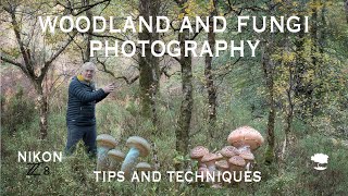 видео: Советы и приемы по фотосъемке леса и грибов: осень в родном лесу с Nikon Z8 картинка: Советы и приемы по фотосъемке леса и грибов: осень в родном лесу с Nikon Z8