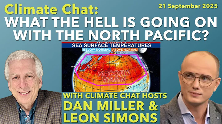 What the Hell is Going On in the North Pacific?