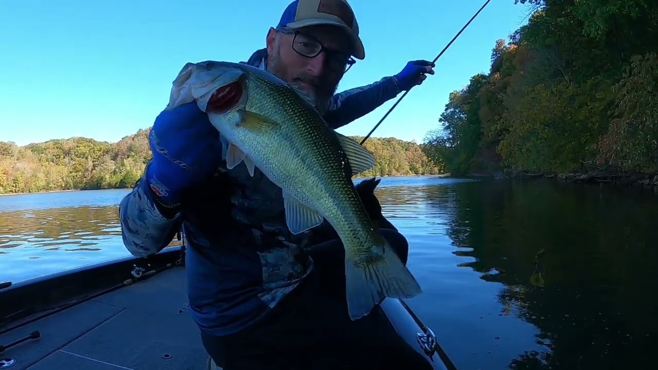 Sunday bass fishing @ Tims Ford Lake