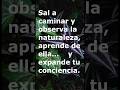 Has que crezca tu conciencia 💖 #nature #jardinesbotanicosdelmundo #naturaleza #viral #shorts