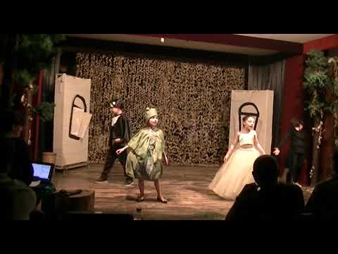 სპს ,,ნუნუ ბეიტრიშვილი პრომეთე\" - ,,ტყის მეგობრები\"