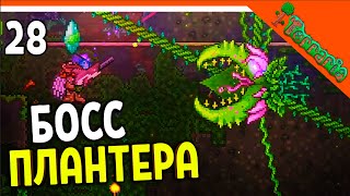 🩸 БОСС ПЛАНТЕРА! КРАФТ ХЛОРОФИТОВОЙ БРОНИ! ХАРДМОД ☠️ Terraria (Террария) Прохождение