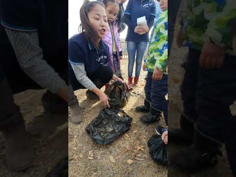 Видео: Амжилт хүсье гэсэн хүчтэй хуйвалдаанууд юу вэ?