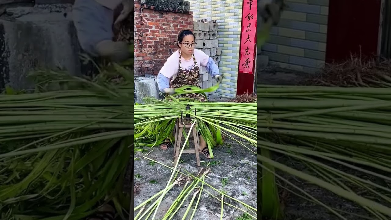 Tree bark rope raw material collection process