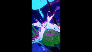 CRIMSON WINTER WYVERN AESTHYRION 🦋 Creatures of Sonaria #shorts