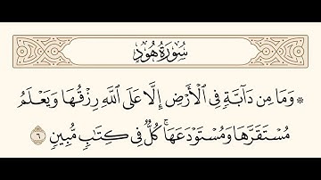 سورة هود الآية 6