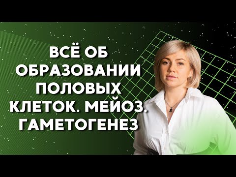 Всё об образовании половых клеток. Мейоз. Гаметогенез