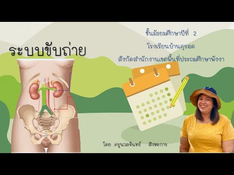 ระบบขับถ่าย ppt  2022  ระบบขับถ่าย