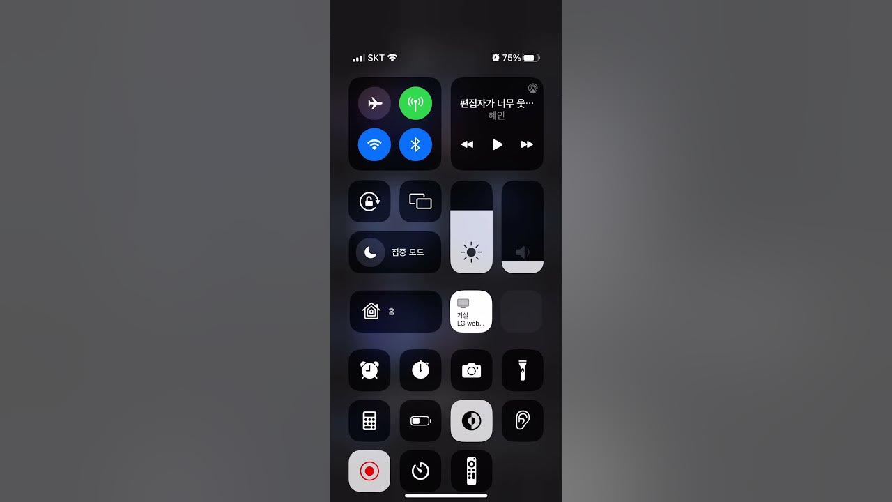 iOS Bottom Sheet YouTube