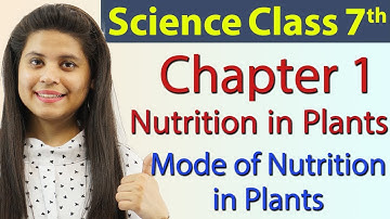 Mode of Nutrition in Plants - Nutrition in Plants - Chapter 1 Class 7 Science