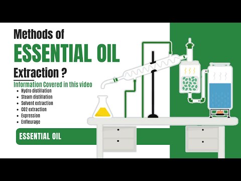 Video: Information om eteriska oljor - Hur man använder eteriska oljor från trädgårdsväxter