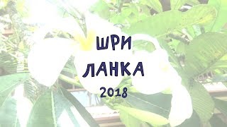 Наша Шри-Ланка 2018