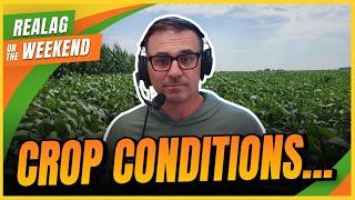 Pulse breeding partnership, rail movement, & crop conditions | RealAg on the Weekend July 25 & 26/26