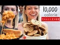 2019 mn state fair 10000 calorie challenge  mukbang