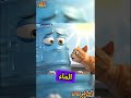 القدحة تتكلم أخير ا تغلي تصف ر ويتم إطفاؤها كأنها مذنبة حر ضت الماء فطفاوها كرتون قناة القدحة تتكلم أخير ا تغلي تصف ر ويتم إطفاؤها كأنها مذنبة حر ضت الماء فطفاوها كرتون قناة