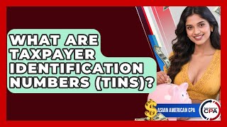 What Are Taxpayer Identification Numbers (TINs)? - Asian American CPA