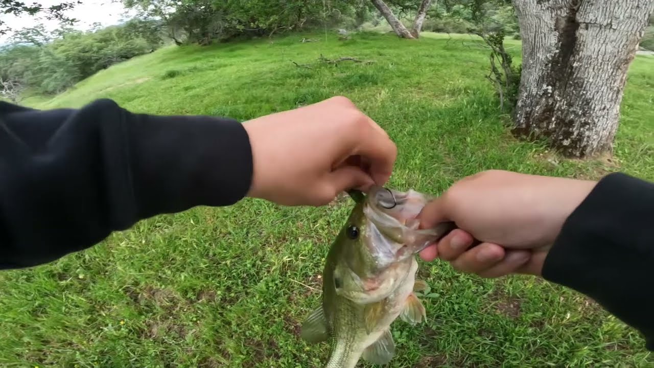 April Bass Fishing is AWESOME!!