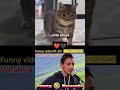 Funny video 2025 pt-63 👉 Cat Funny moments 😁 End 🤣#comedy #funnyanimal #trending #sorts #funnyface