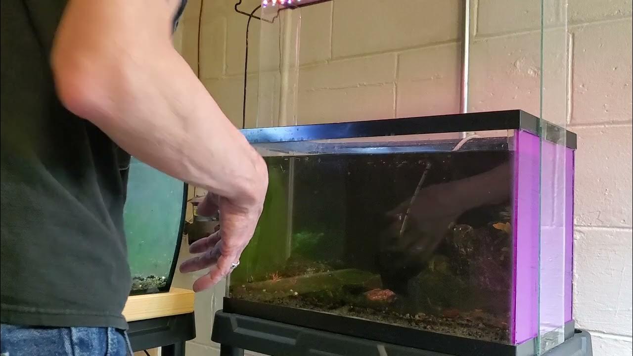 aquarium hack YouTube