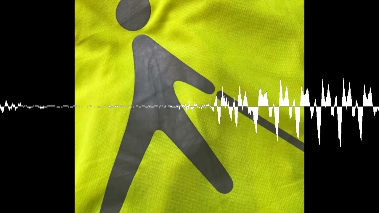 Die Merkzeichen auf dem Schwerbehinderten Ausweis - Thaliruth - blind durch den Alltag