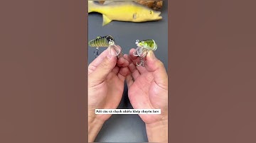 Mồi câu cá chạch nhiều khớp chuyên lure #xuhuong #cauca #fishing #anhthufishing