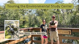 Environmental Study Center | Great Nature Park in Florida