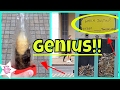 Some genius solutions to our daily problems