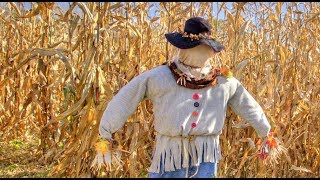 Is Strawmanning Necessary to Inspire Activism?