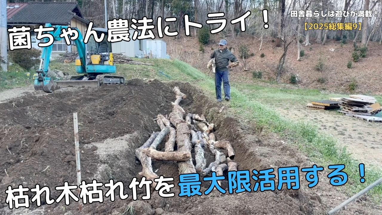 【2025総集編#9】菌ちゃん農法にトライ！枯れ木枯れ竹を最大限活用する！