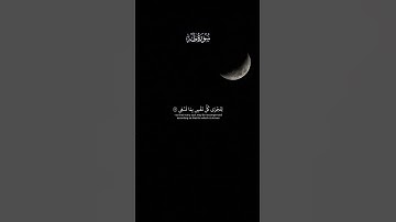 عمر بن ضياء الدين - سورة طه | وانا اخترتك فاستمع لما يوحى #قران #اكسبلور #تلاوة_خاشعة #راحة_نفسية