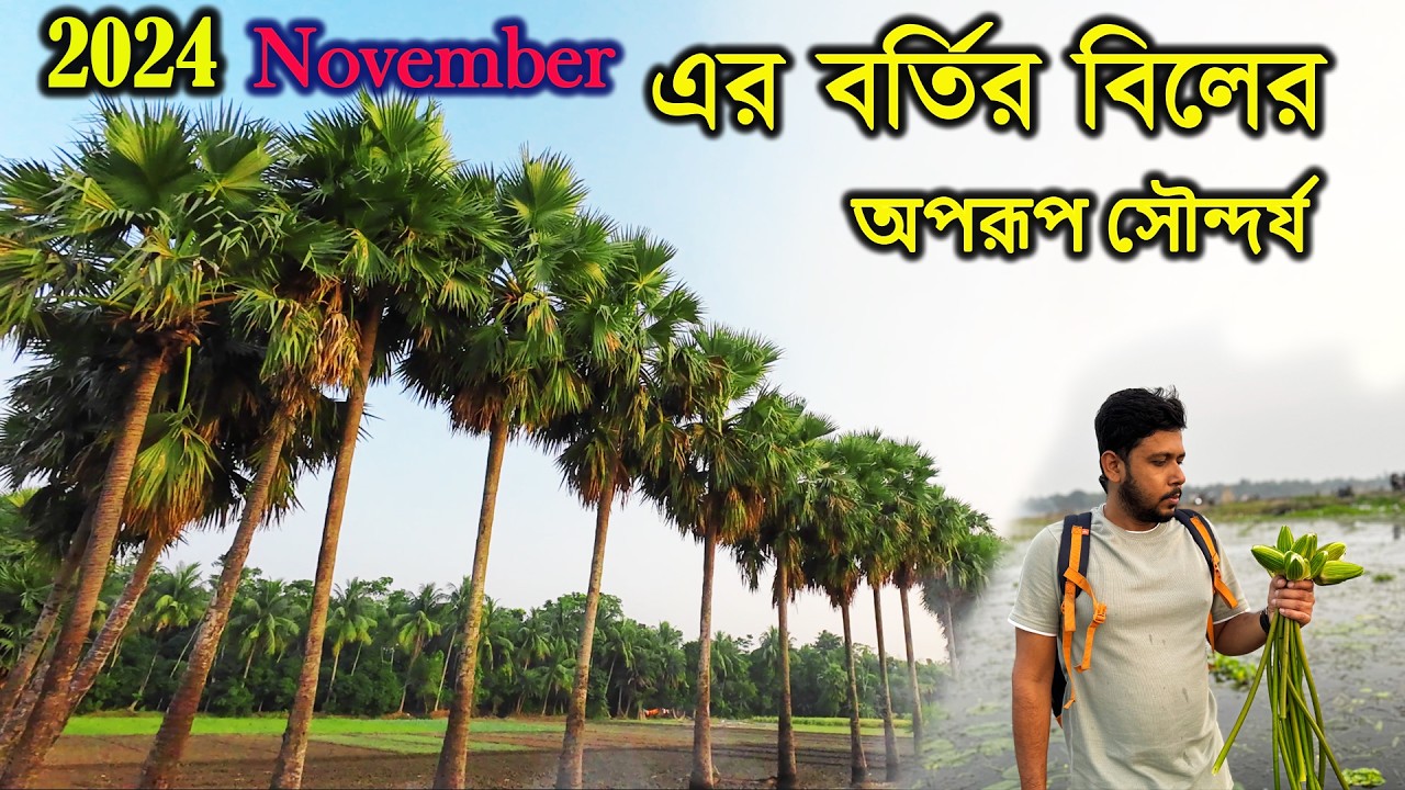 এইরকম অপরুপ দৃশ্য আর হয়ত কয়েকদিন তাই দেরি না করে চলে আসুন বর্তির বিলে ...