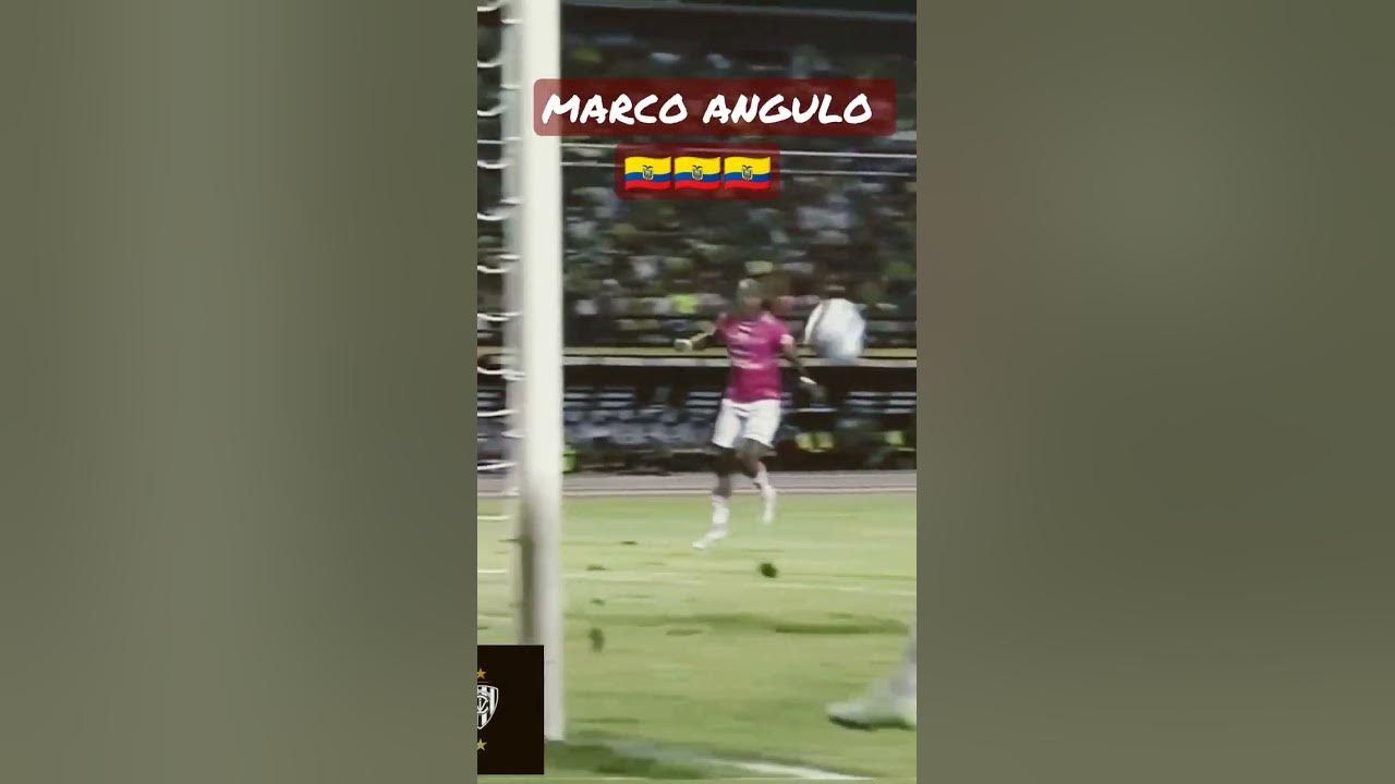 ⚽ MARCO ANGULO - MEDIOCAMPISTA / MIDFIELDER/ SELECCIÓN ECUADOR
