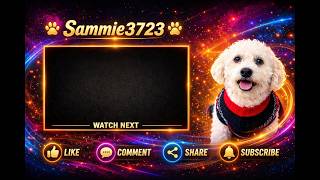 Sammie3723 - 16:9 HD